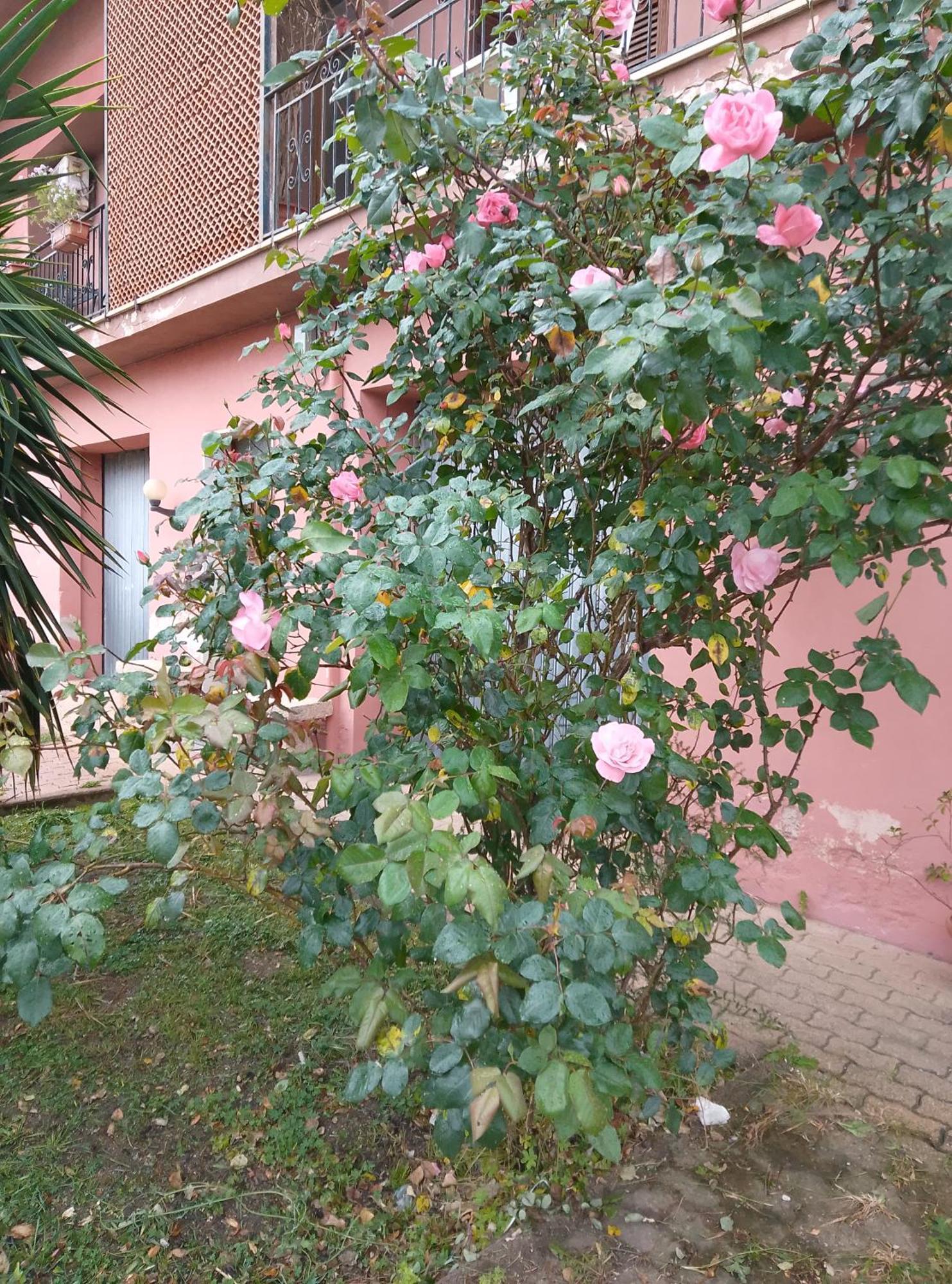 Smeralda Room's Privatunterkunft *